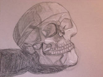 Skull Drawing