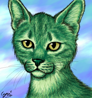 Beastboy Cat