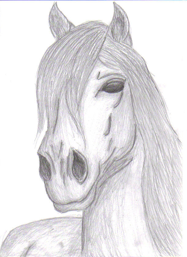 Pony Drawing by CuteUnicorn on DeviantArt