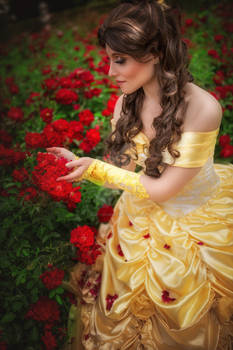 Belle (Beauty and the Beast) - the last petals