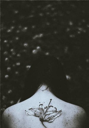 dead lily by darrei dead lily by darrei