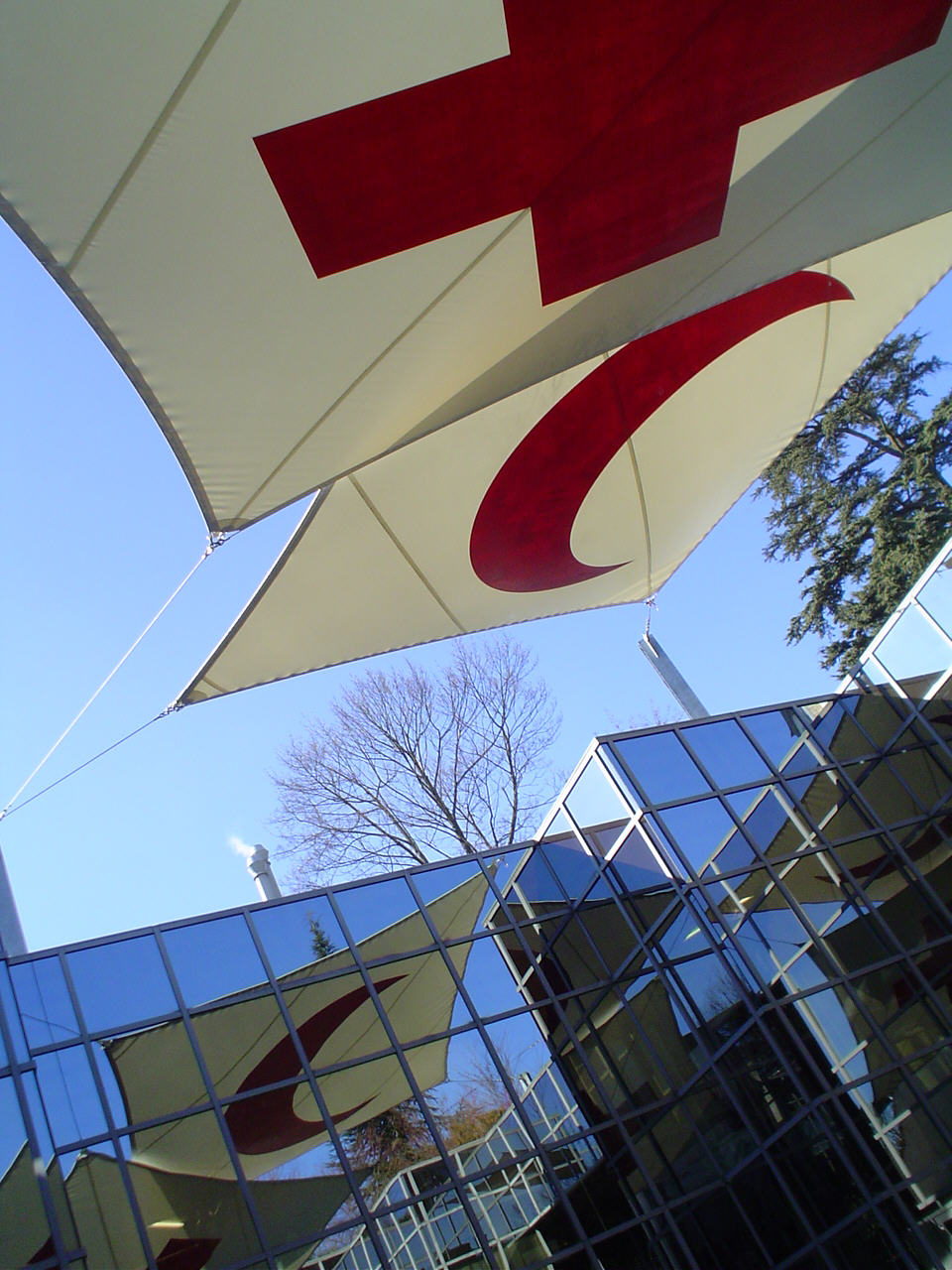 Red Cross Reflected