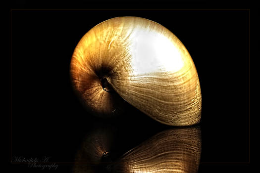 HDR shell