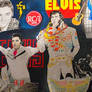 ELVIS PRESLEY POSTER . My draw poster project .