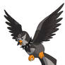 Staravia (route 11)