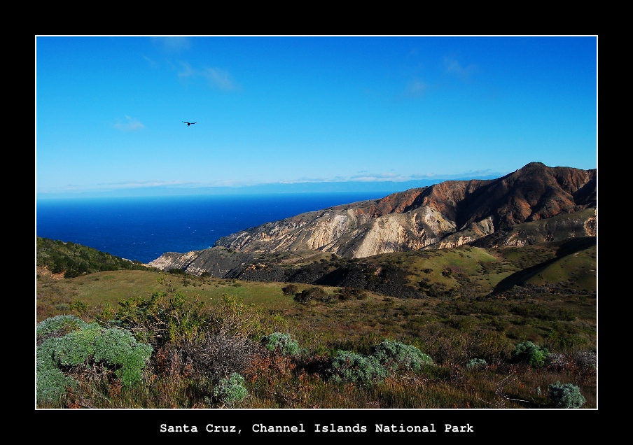 Channel Islands National Park