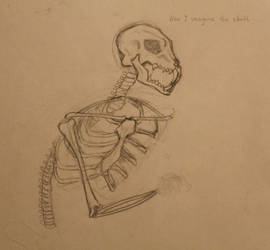 Skeleton