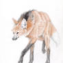 Maned Wolf