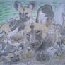 'African Painted Dogs'