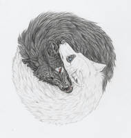 'Yin and Yang Wolves'