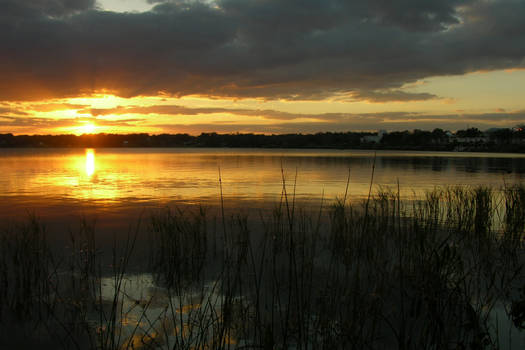 Lake Hollingsworth Sunset Two