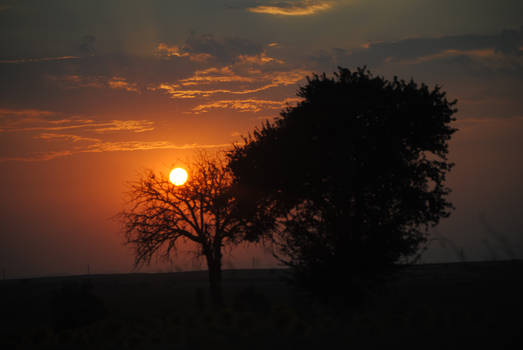 A sunset with 100 km/h.