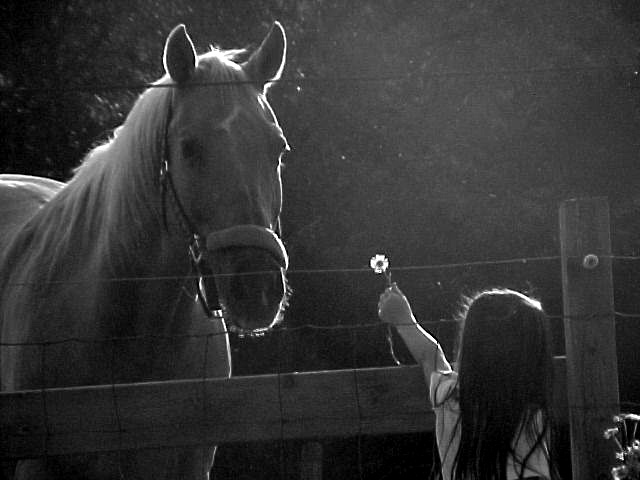 Girl with Horse