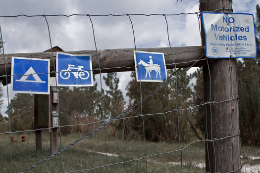 Camping, Cycling, Horse-ing