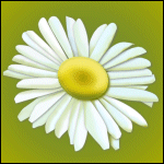 Daisy v1