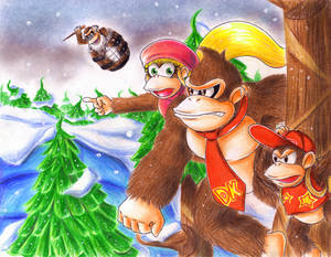 .: Donkey Kong Tropical Freeze :.