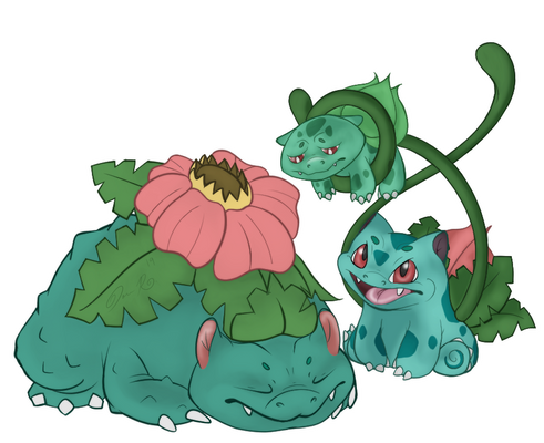 Bulba Evo. - Colored