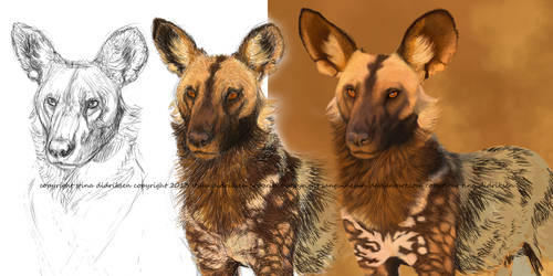 African Wilddog step-by-step digital painting