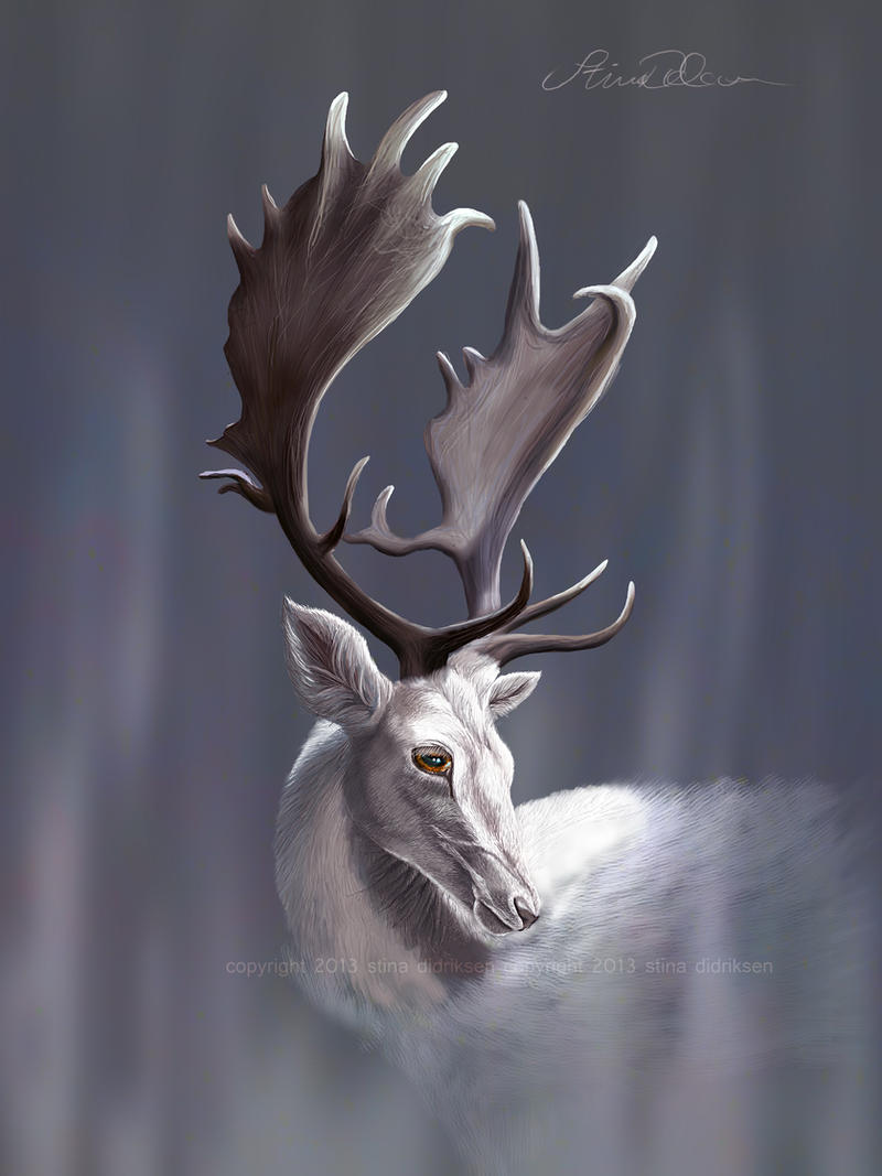 Deviantart Fallow White Fallow by Midnight-Sun-Art on DeviantArt