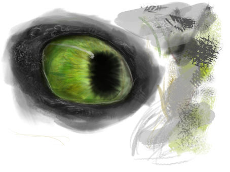 Toothless eye fanart by DragonistaSista on DeviantArt