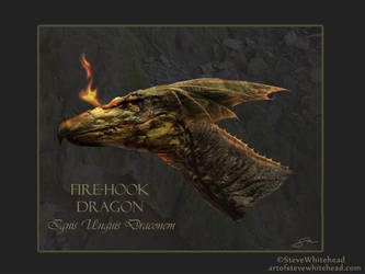 Steve-Whitehead-Fire-Hook DragonW