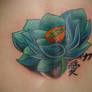 coverup lotus