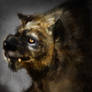 Gnoll