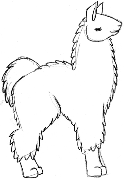 llama stuff 1