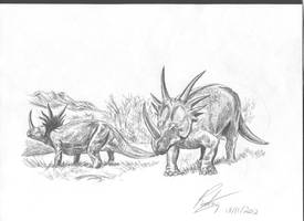 Styracosaurus tranquilos