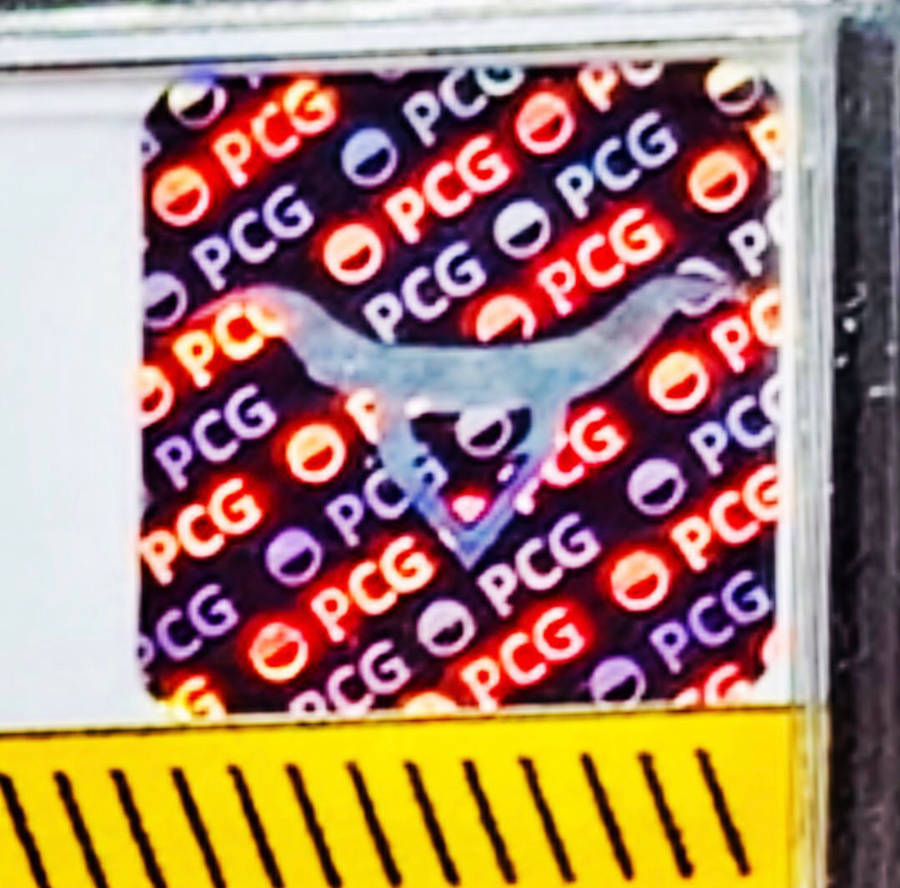 PCG Pokemoncardgrading (9) by JordanTen on DeviantArt