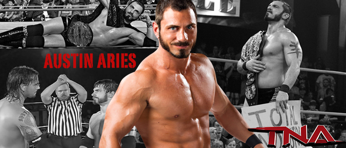 WRESTLING BANNERS: 13. Austin Aries by CreamCrazy