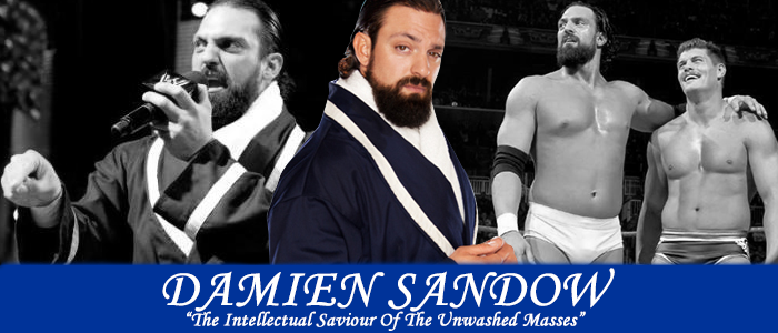WRESTLING BANNERS: 24. Damien Sandow by CreamCrazy