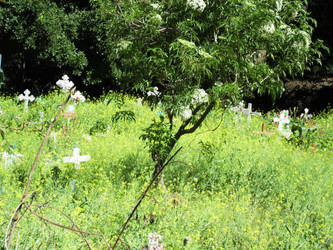 Mountain Cemetery