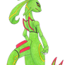 Anthro Rayquaza