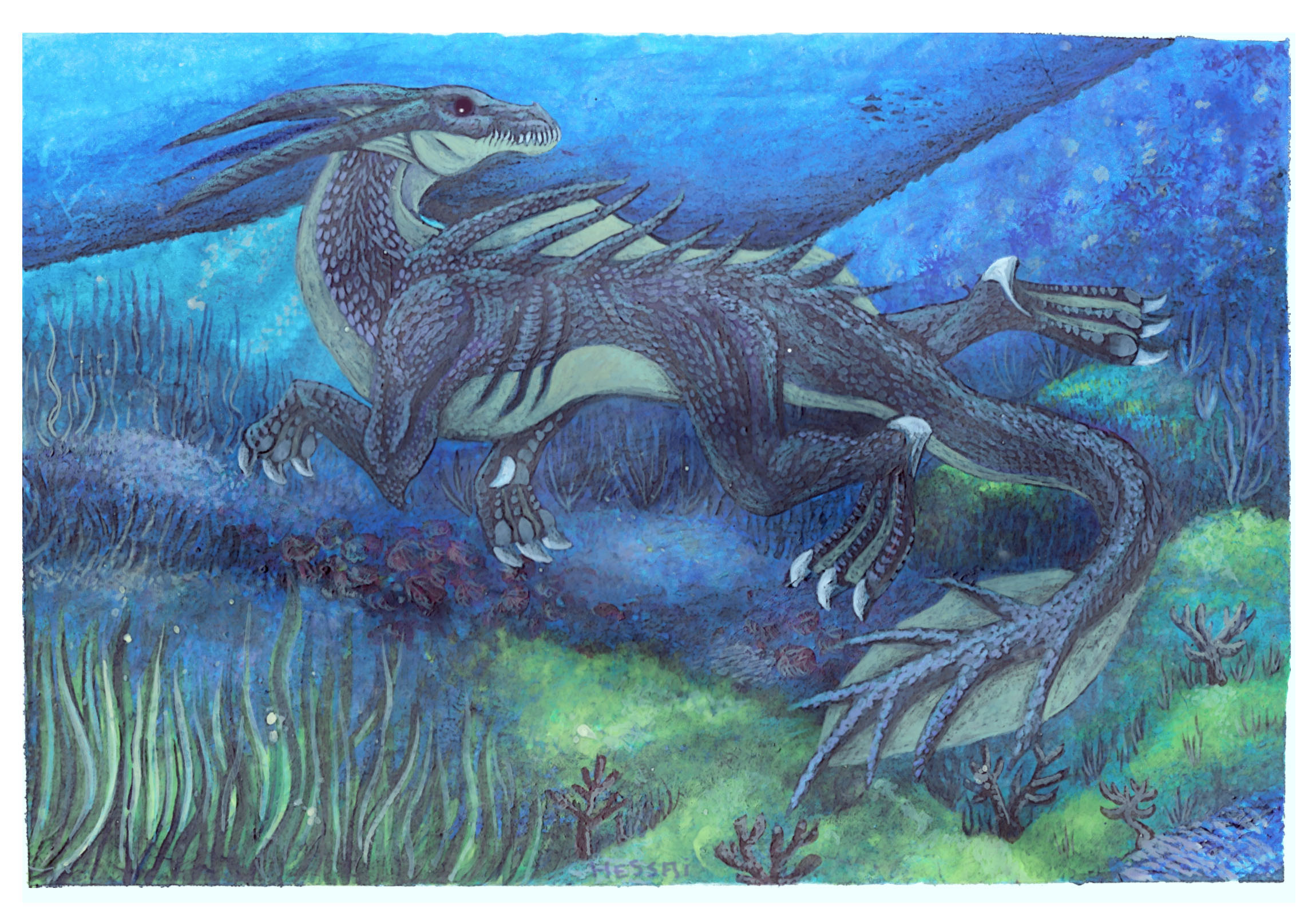 Reef Dragon