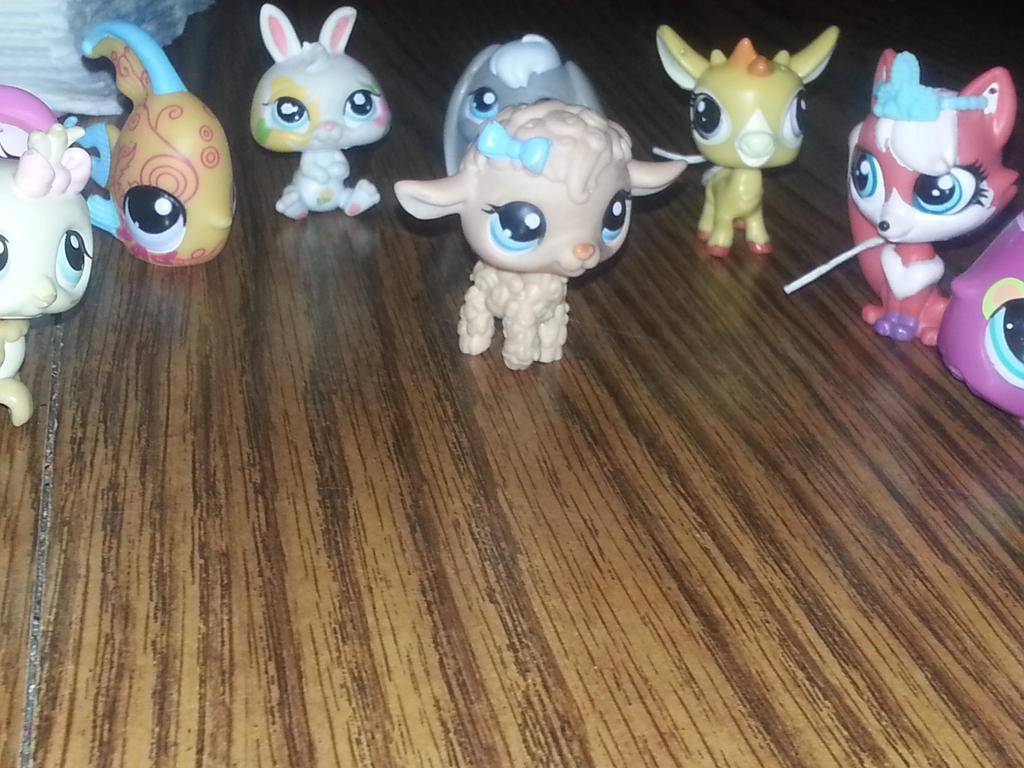 lps collection by bluebunnygal on DeviantArt