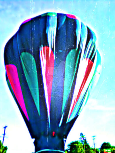 Hot Air Balloon #3