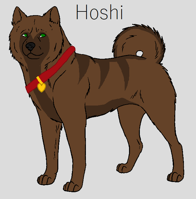 hoshi