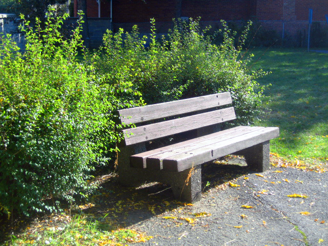 Park Bench