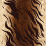 Animal Fur Tiger Texture Large
