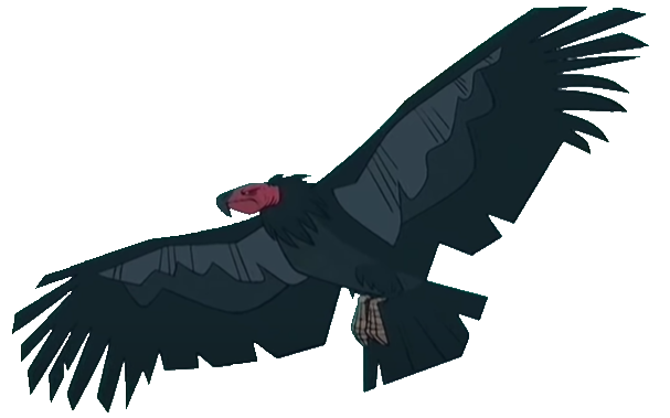 Condor Tdi Total Drama Condor by TDBenbo on DeviantArt