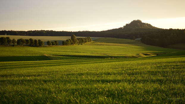 Sunset in Weissig III