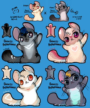 Chinchilla Adoptables  (with base) [sold]