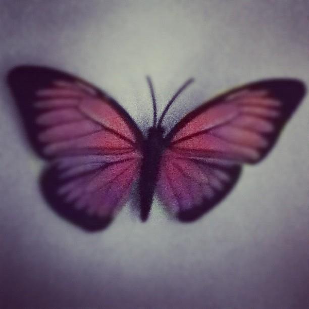 Pink Butterfly