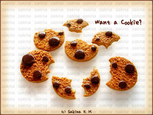 Want a cookie ?