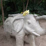 Elephant ride