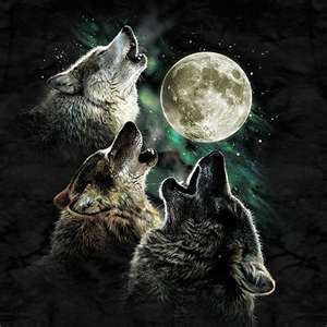 wolfs