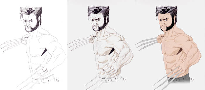 Wolverine process