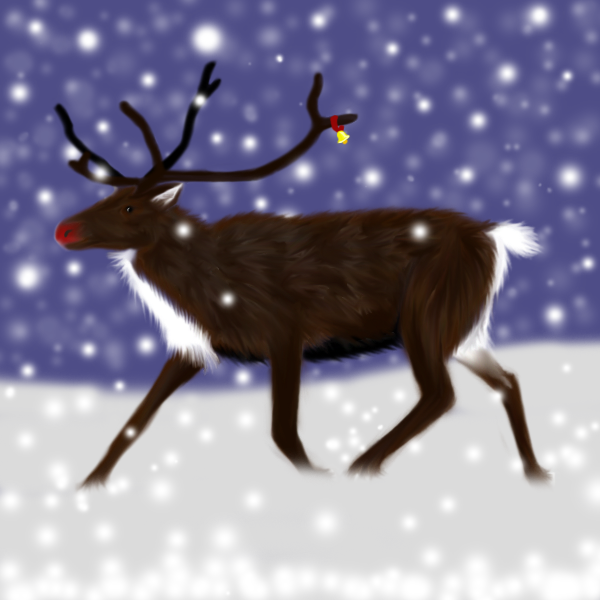 Pictures Of The Real Rudolph