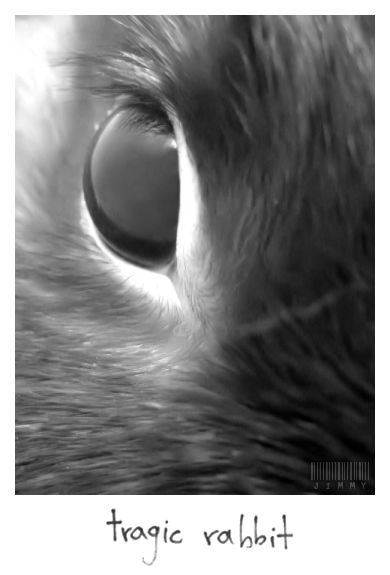 - Tragic Rabbit - by emokidnap on DeviantArt